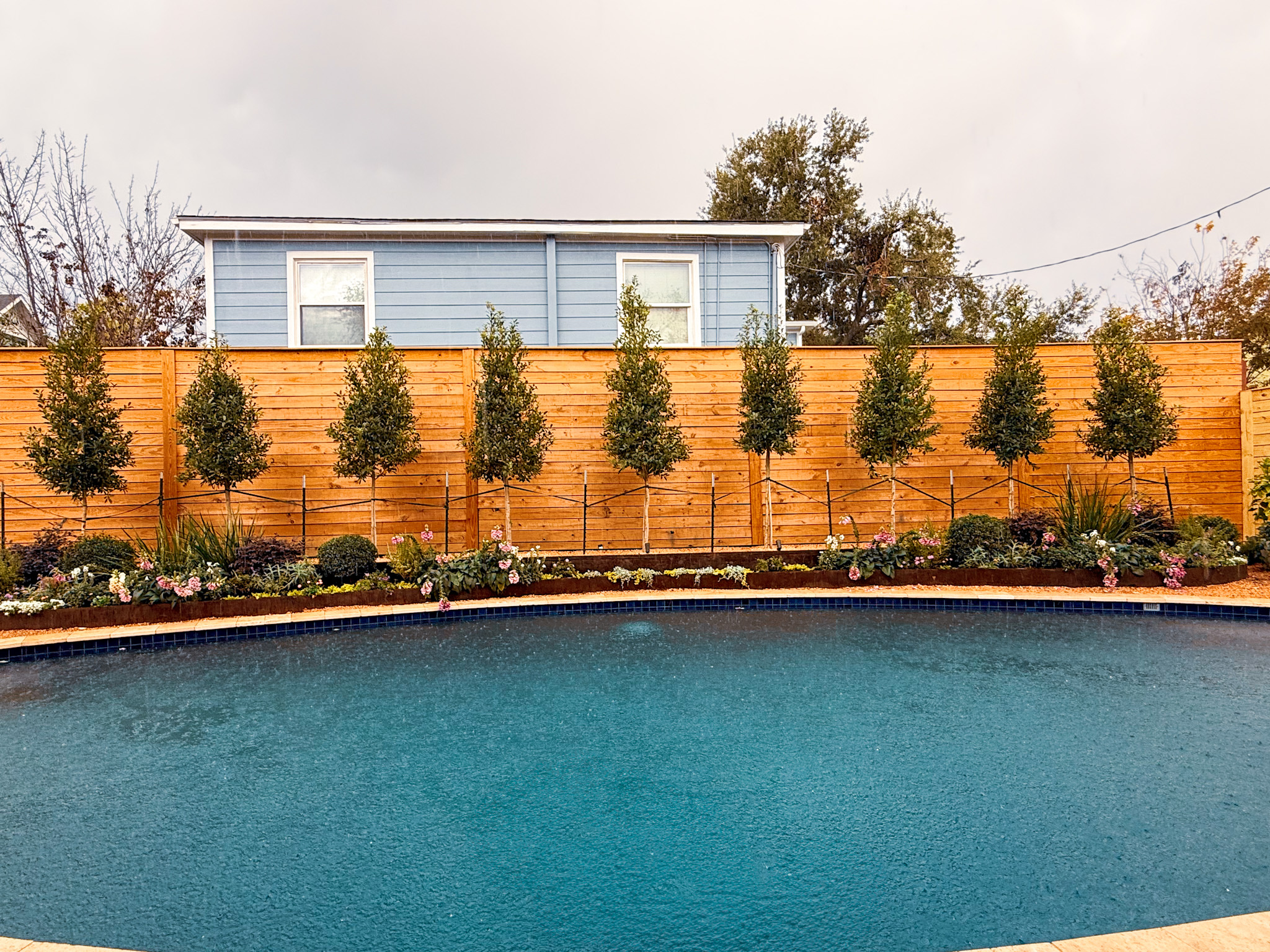 Structural Planting