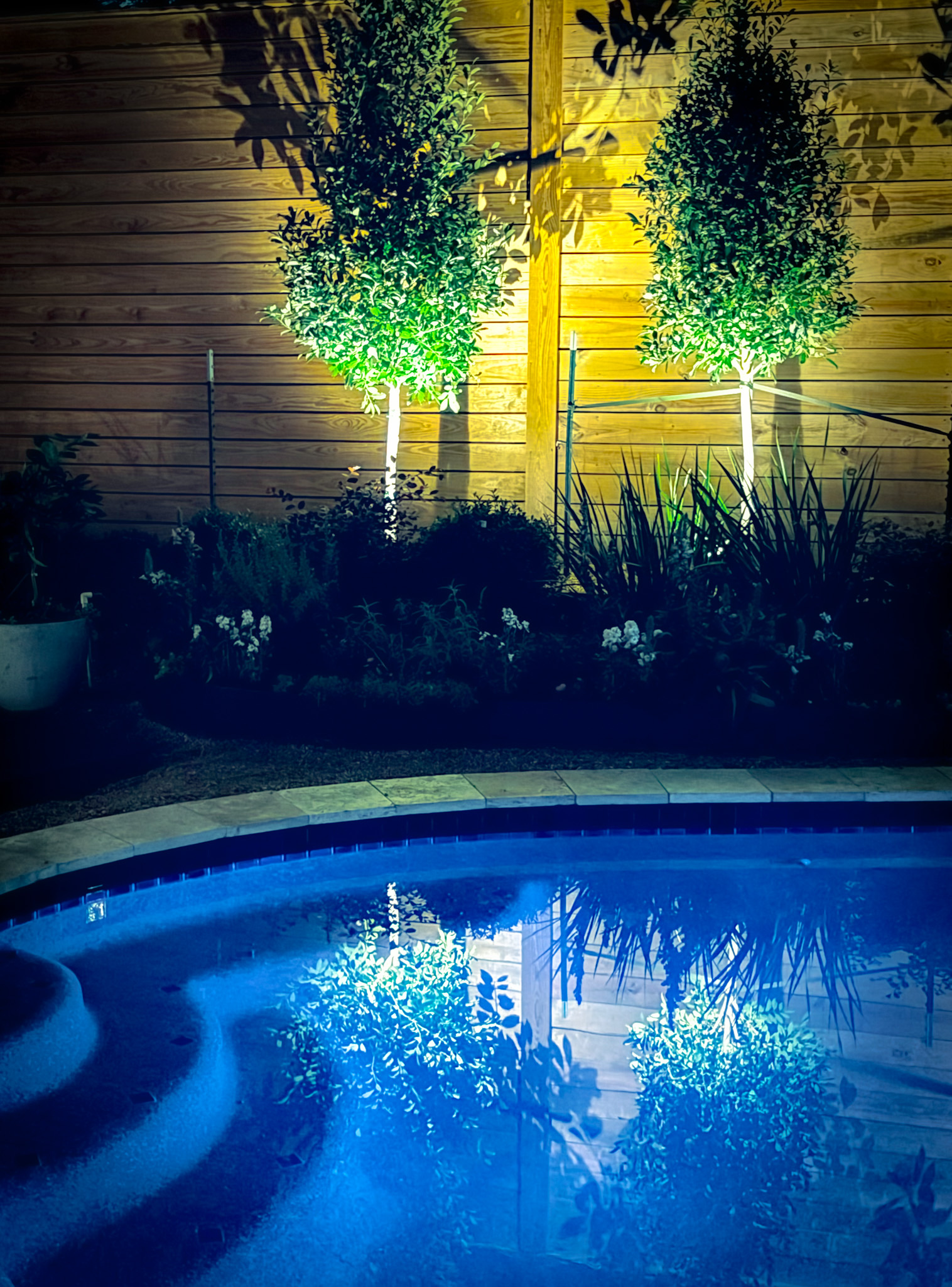 Curated Garden