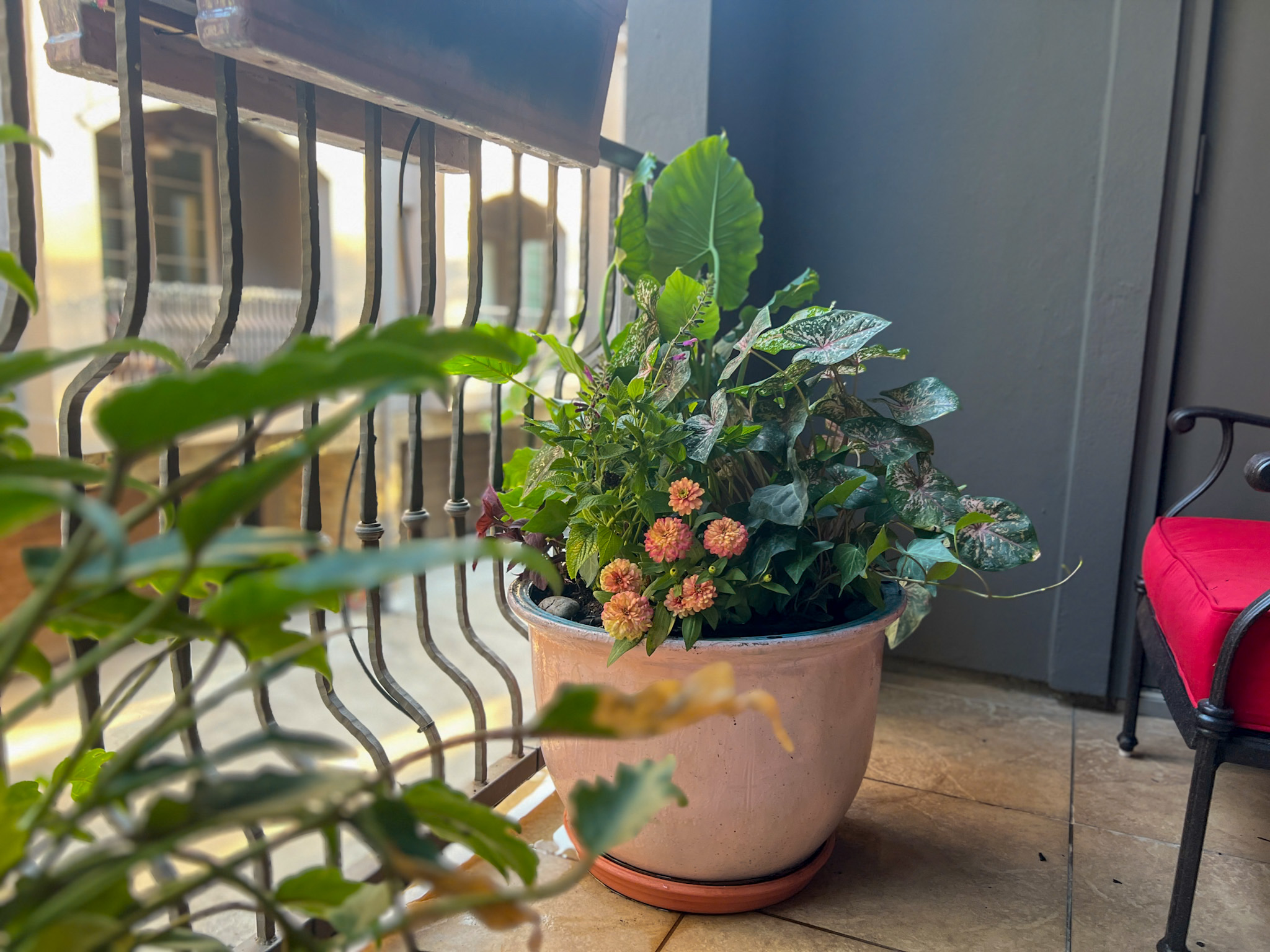 Garden Detail