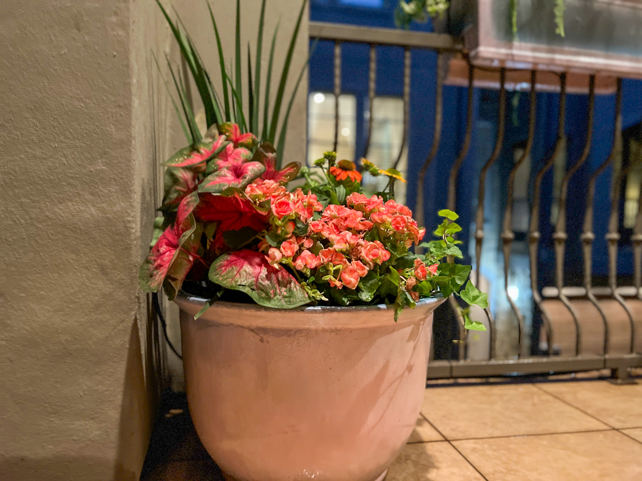 Plant Composition