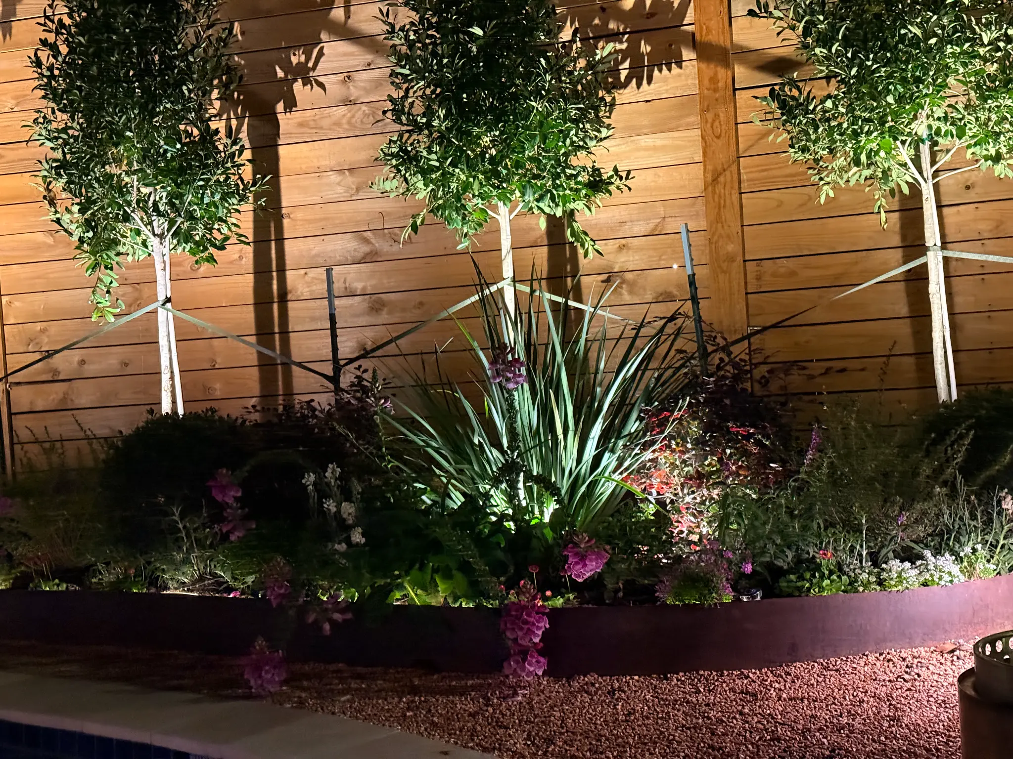 Tropical Night Garden