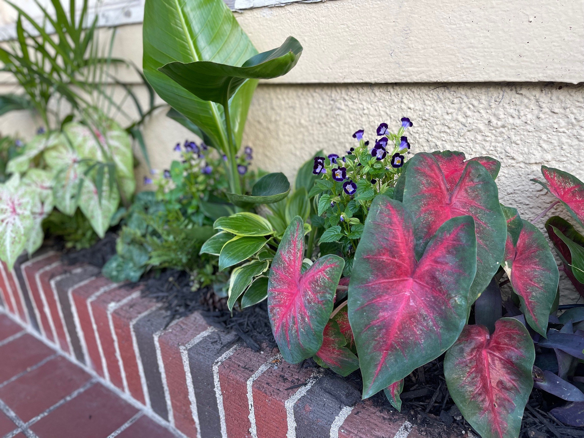 Foliage Design